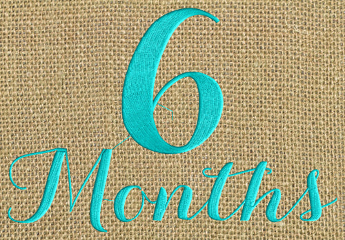Baby "6 months" Design - EMBROIDERY DESIGN FILE - Photo op - Instant download - Dst Hus Jef Pes Exp Vp3 formats