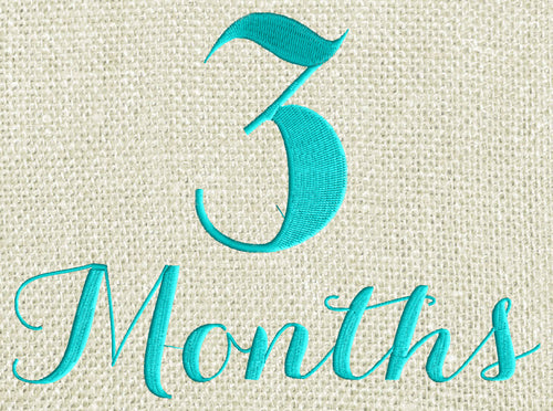 Baby "3 months" Design - EMBROIDERY DESIGN FILE - Photo op - Instant download - Dst Hus Jef Pes Exp Vp3 formats